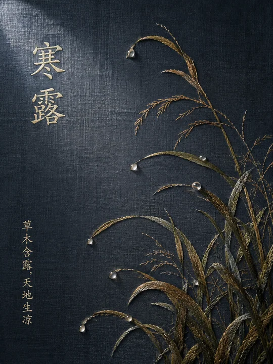 寒露节气深蓝绢布刺绣艺术海报