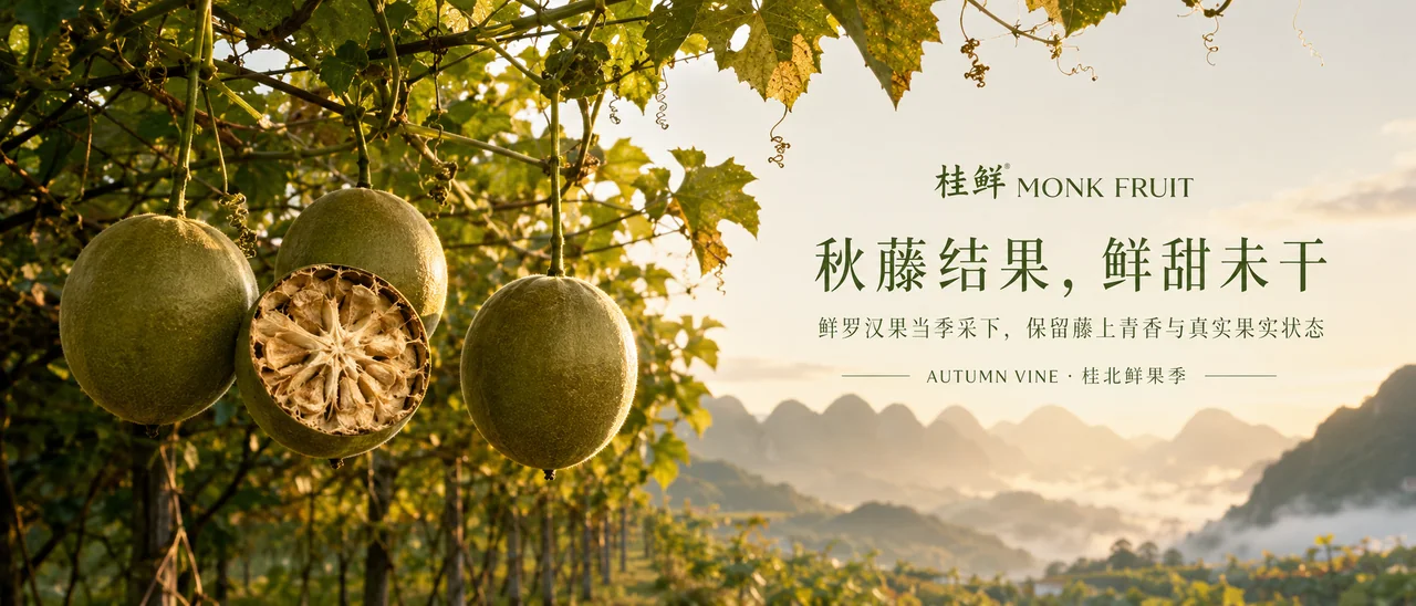 桂北秋色罗汉果:藤间鲜甜的品牌视觉大片