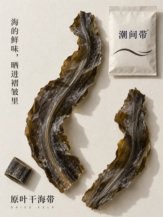 潮间带深褐海带质感纹理海报