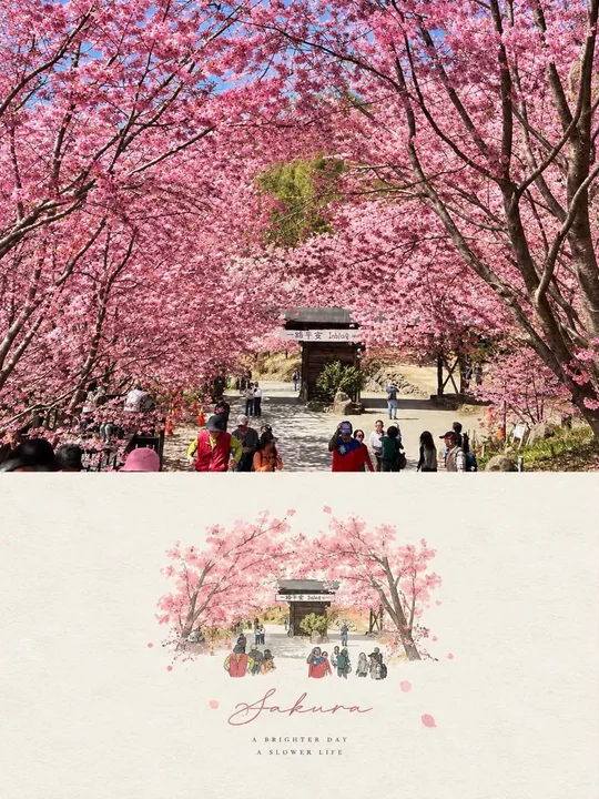 照片转手绘插画编辑海报