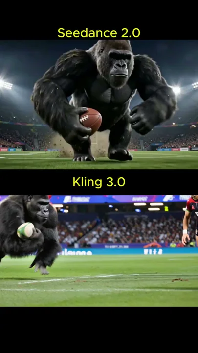Intense rugby showdown between silver-backed gibbons and human professional athletes