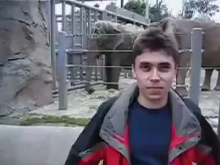 Retro Film Moment of the Former Man in Front of the Zoo Elephant