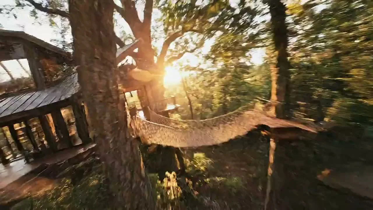 ゴールドアワーの光が差し込む樹木の超写実的な映像で、映画のように飛ぶ体験