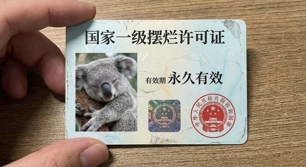 National Level Lethargy License